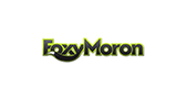 Web Design Course In Mumbai Hiring Partners Foxy Moron