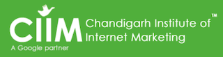 CIIM - Digital Marketing Courses in Yamunanagar