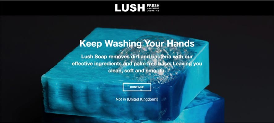 Marketing Strategy of Lush - A Case Study - Marketing Mix - Promotion Strategy