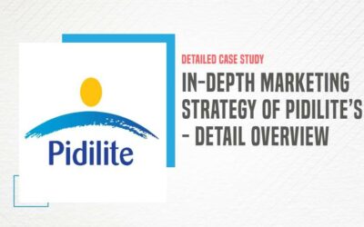 In-Depth Marketing Strategy of Pidilite : A Case Study