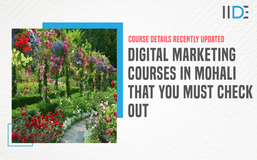 5 Best Digital Marketing Courses in Mohali for [year]