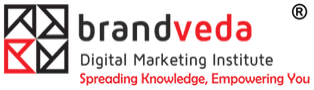 Digital Marketing Courses in Hisar - Brandveda logo