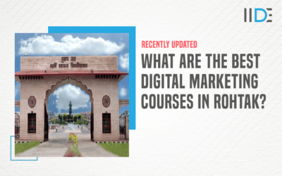 Top 13 Digital Marketing Courses in Rohtak to Get You Started