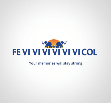 Moment Marketing Example - Fevicol