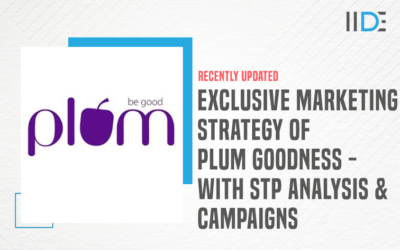 Marketing Strategy of Plum Goodness: STP