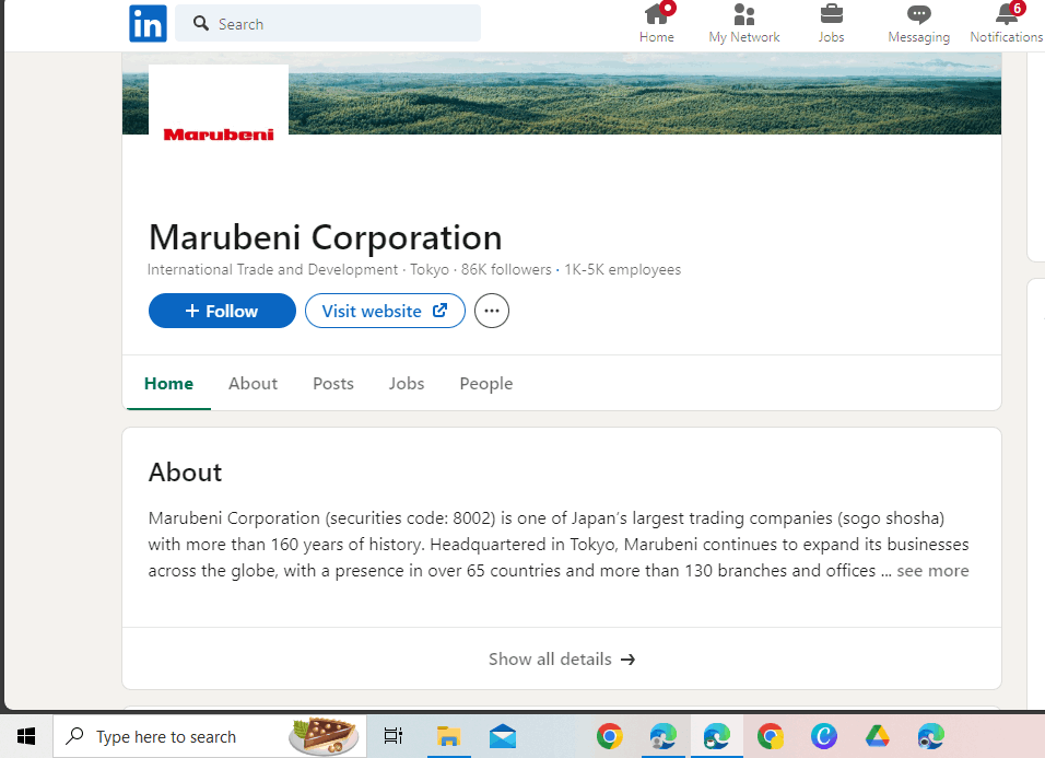 Marubeni LinkedIn Profile