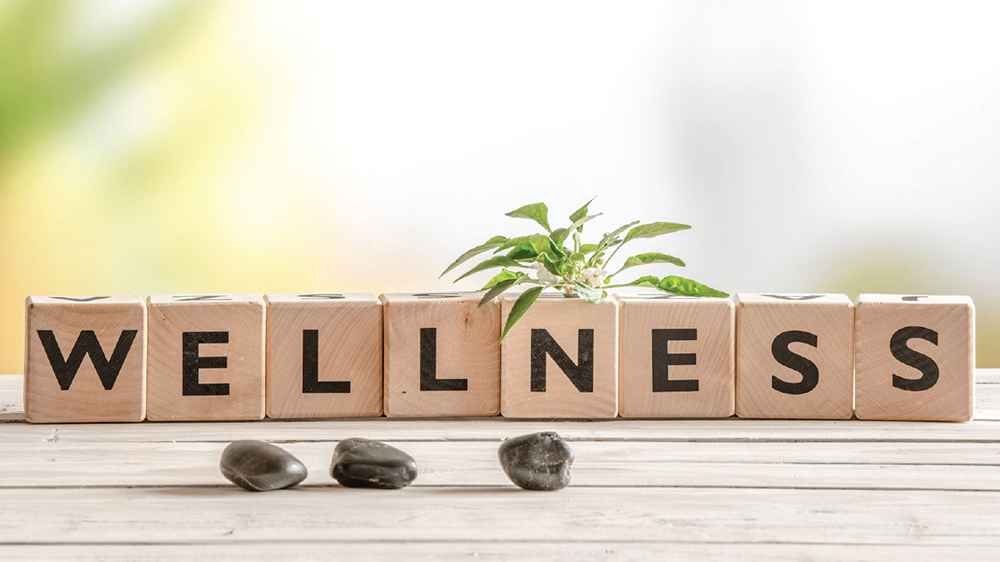 most profitable business in india - Image with wooden blocks that spell out the word 'wellness'